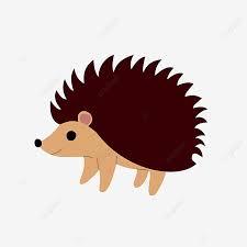 porcupine