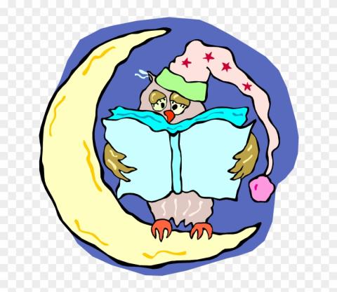 Owl on moon