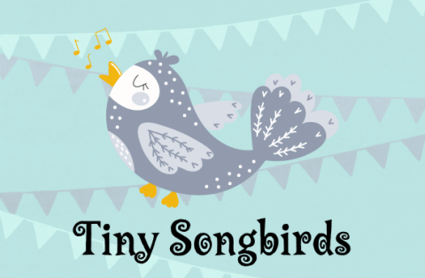 tiny songbirds updated