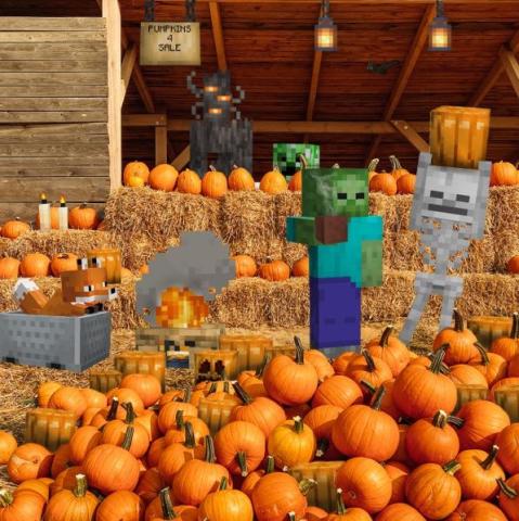 Minecraft Pumpkin Patch
