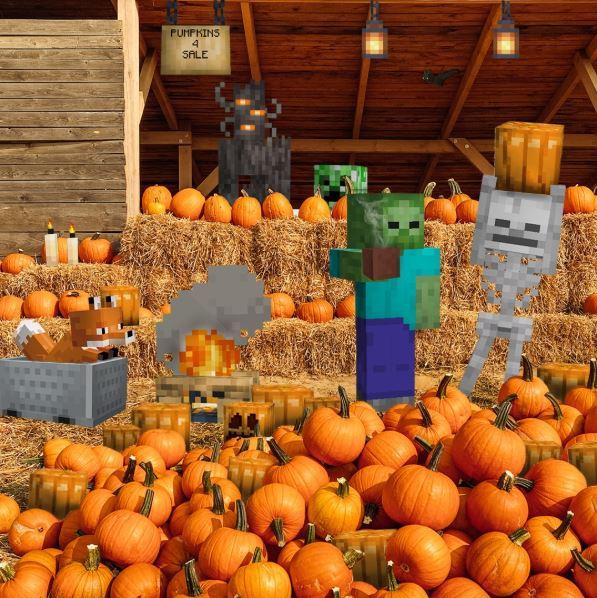 Minecraft Pumpkin Patch